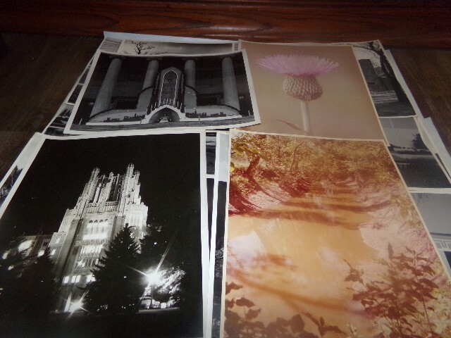 Picture 8 of 14