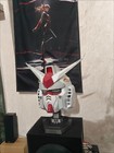 Picture 9 of 9