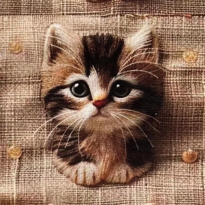 Stoff Baumwollstoff Meterware 50cm Bunte Süße Kätzchen Lustige Katzen 3D-Effekt - Bild 2 von 4