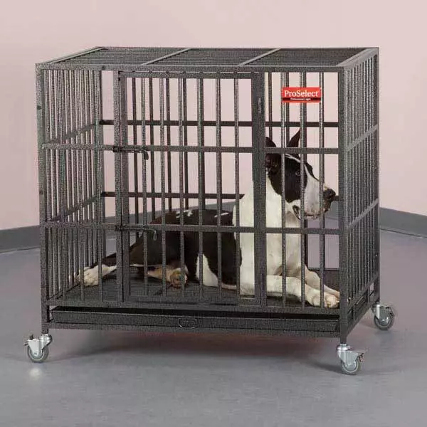 ProSelect Empire Dog Cages