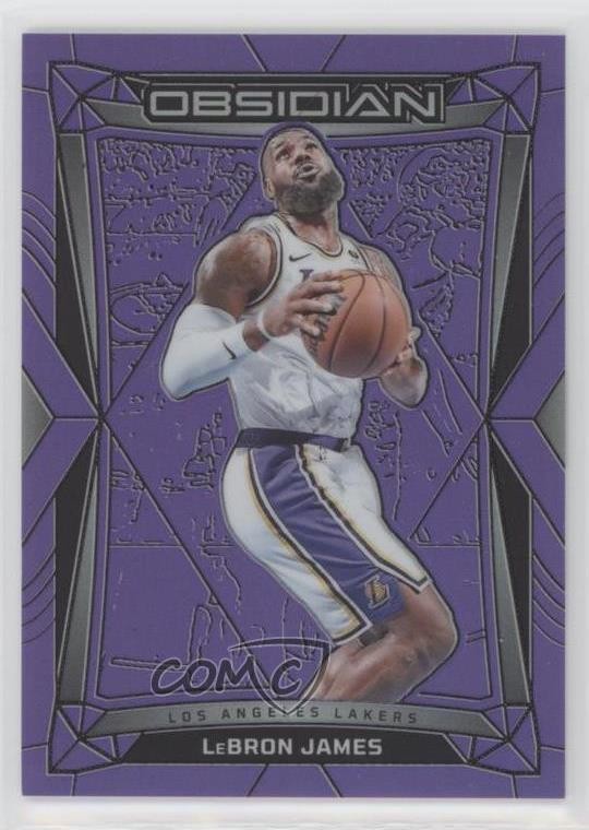 2023-24 Panini Obsidian Electric Etch Purple Flood 33/49 LeBron James #15 2oz