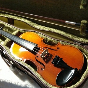 Roderich Paesold | eBay