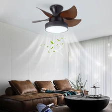 21.6" Ceiling Fan With Light & Solid 5 Blades, Ceiling Fan with Remote Control
