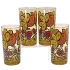 Vintage Federal Glasses Drinking Retro Groovy Birds Set 4 Amber Original Pkg NEW