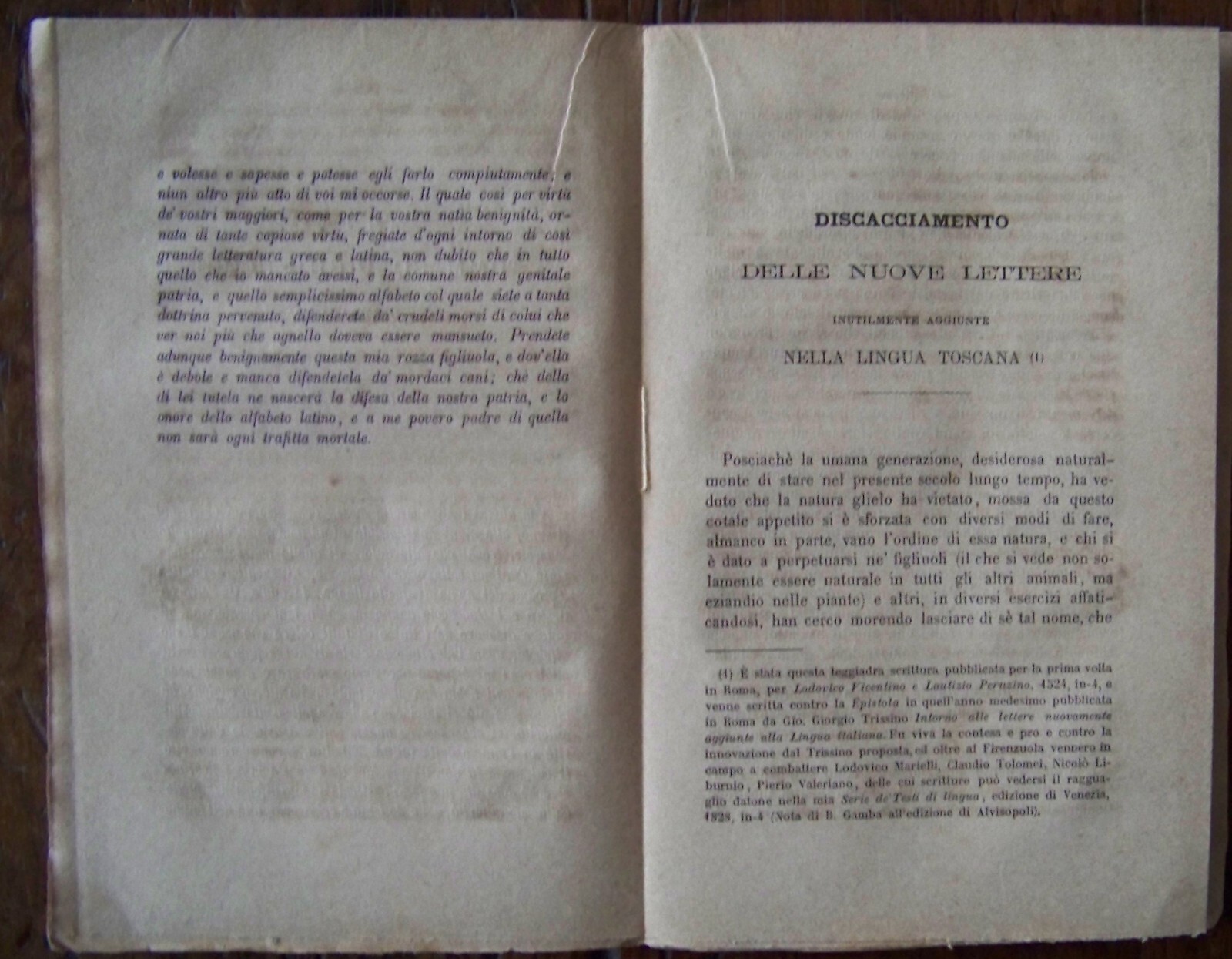 Foto 5 di 8