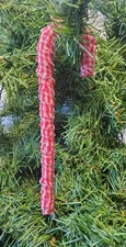 Primitive Rag Wrapped Christmas Ornament Candy Canes Red Homespun Lot of 10