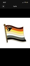 BEAR PRIDE FLAG PIN Hat Lapel PIN LGBTQ Gay Bisexual Brotherhood FREE STICKERS