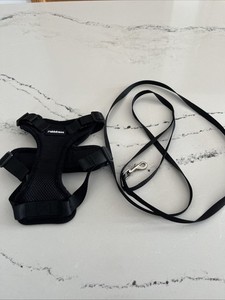 Rabbitgoo Cat/Small Dog Harness & 59” Leash for Walking, Soft Adjustable Black