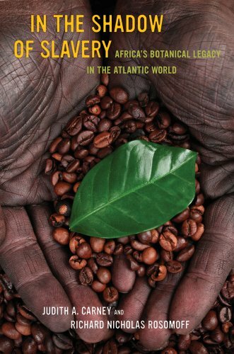 In the Shadow of Slavery – Africa′s Botanical Legacy in the Atlantic World - Image 5