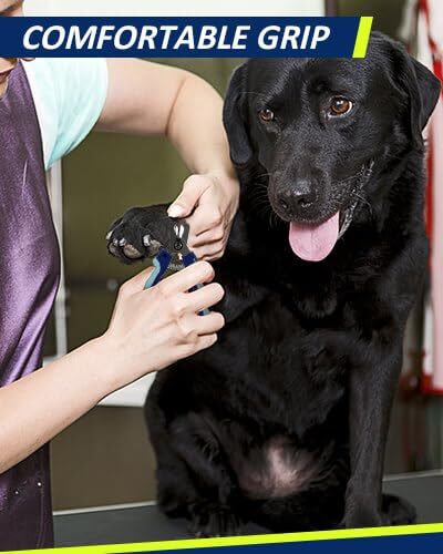 Cortauñas para mascotas y lima de uñas para perros y gatos - Imagen 2 de 6