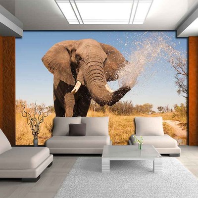 VLIES POSTER TAPETEN FOTOTAPETE BILD TAPETE NATUR TIERE ELEFANT AFRIKA 3622 VE