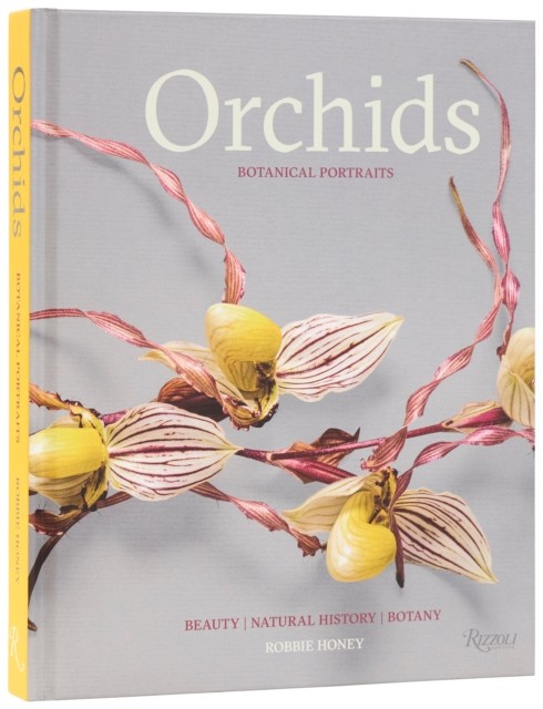 Orchids: Botanical Portraits: Beauty, Natural History, Botany - Image 4