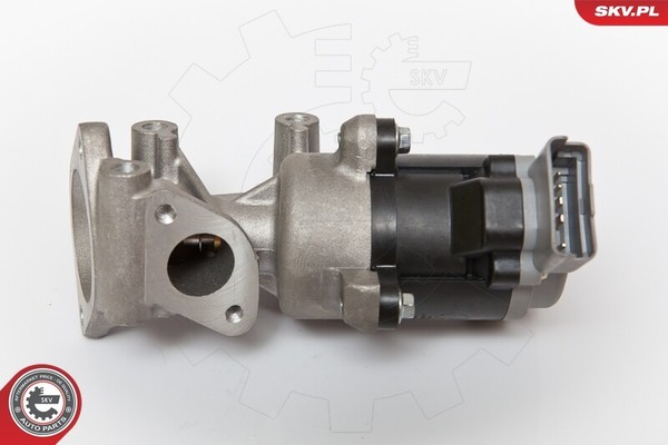 Skv Germany 14SKV066 Agr-Ventil FüR Peugeot CitroËN Jaguar Land Rover-image