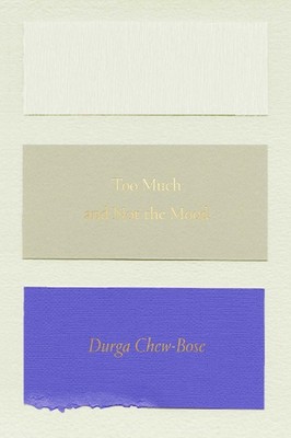 Too Much and Not the Mood: Essays by Durga Chew-Bose (English) Paperback Book