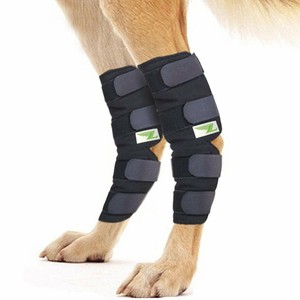 labra dog knee brace