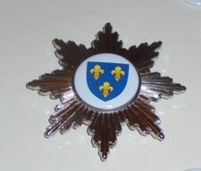 Medieval Royal Fleur De Lis Shield Star Badge Uniform Sash Crest Knight Officer