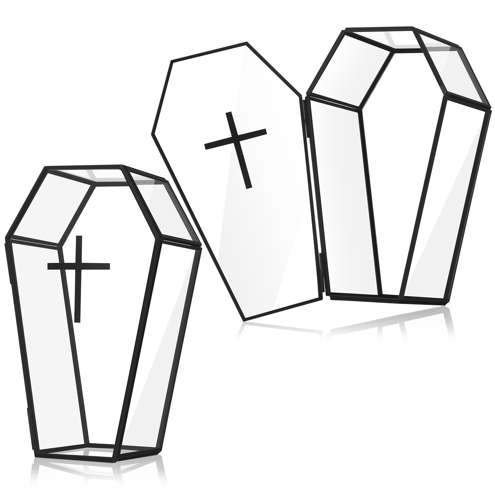 Sasylvia Glass Coffin Box for Jewelry or Terrarium Gothic Display