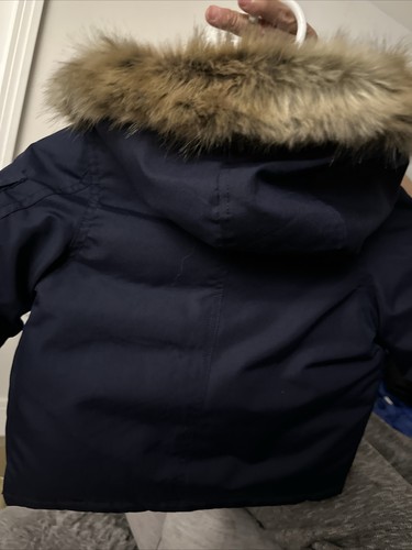 Polo Ralph Lauren Child’s Coat In 2T NWT - Picture 3 of 5