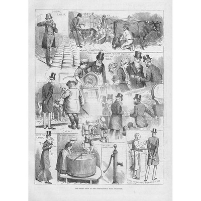 LONDON Dairy Show at the Agricultural Hall, Islington - Antique Print 1883