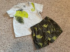 Boys size 6/9 Short Set with reptile