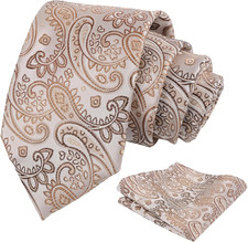 Paisley Mens 3.15'' Gradient Tie and Pocket Square Set