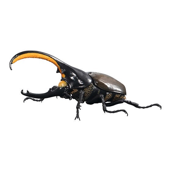 The Diversity of Life on Earth Advance Hercules Beetle Figure