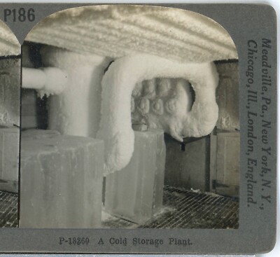 A Cold Storage Plant--Keystone Primary Stereoview B189