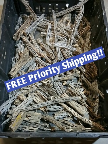 2+ LBS CHOLLA Wood CUTOFFS | Whole Pieces Split Halves Bits | Aquarium, Crafts - Picture 12 of 13