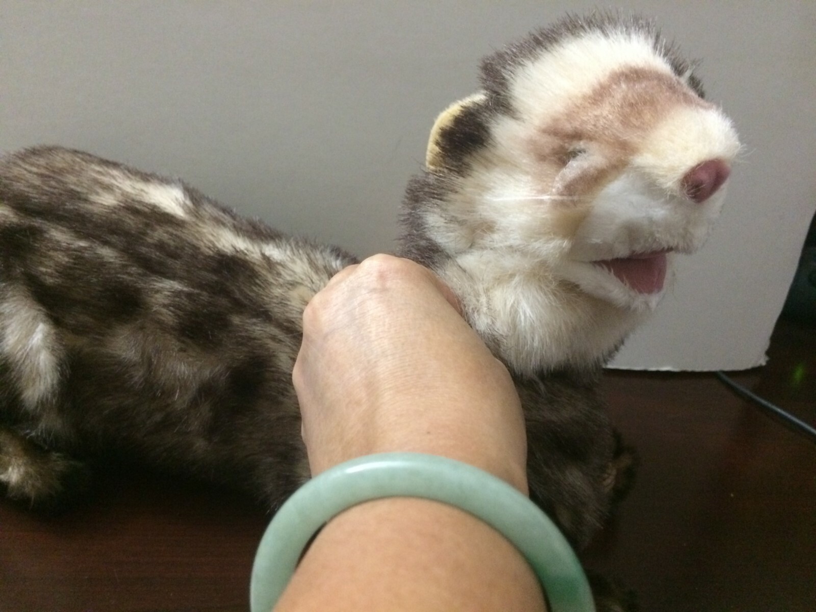 folkmanis ferret puppet