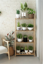 4-Shelf Tall Wood Bookcase Storage Unit 120x58x26cm Natural