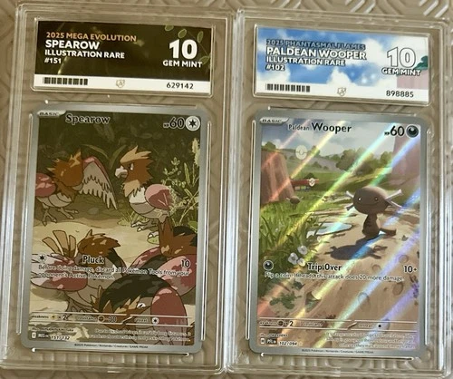Pokémon ACE 10 Slab Bundle - X2
