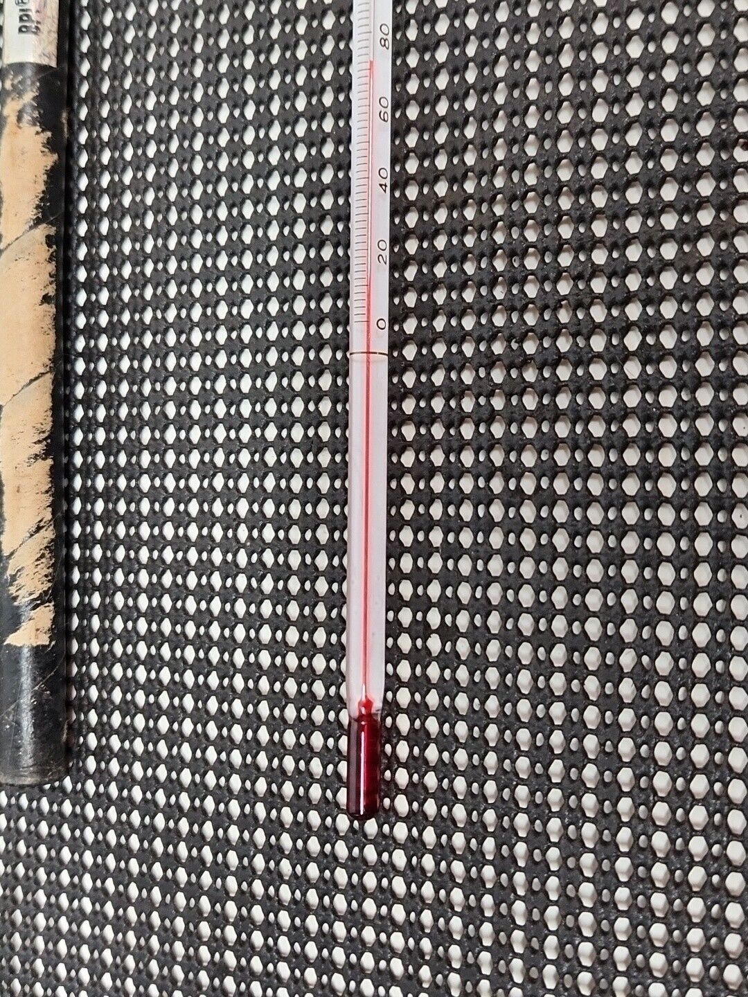 Picture 6 of 11