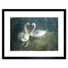 Wee Blue Coo Swans Couple Heart Love Art Framed Wall Art Print