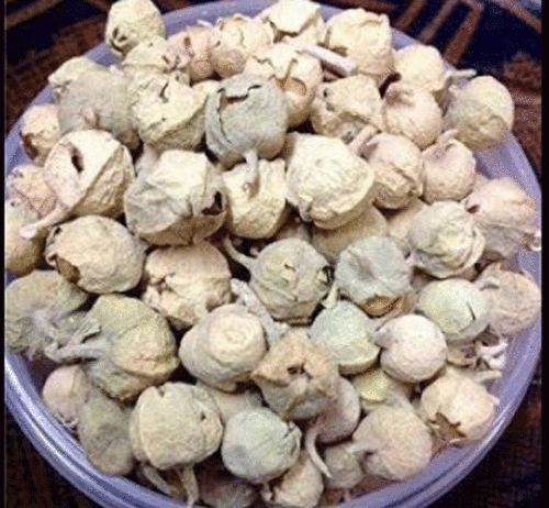 Indian Rennet WITHANIA COAGULANS DODA PANEER Phool Whole ning Gu Shui Qie -200gm - Picture 1 of 1