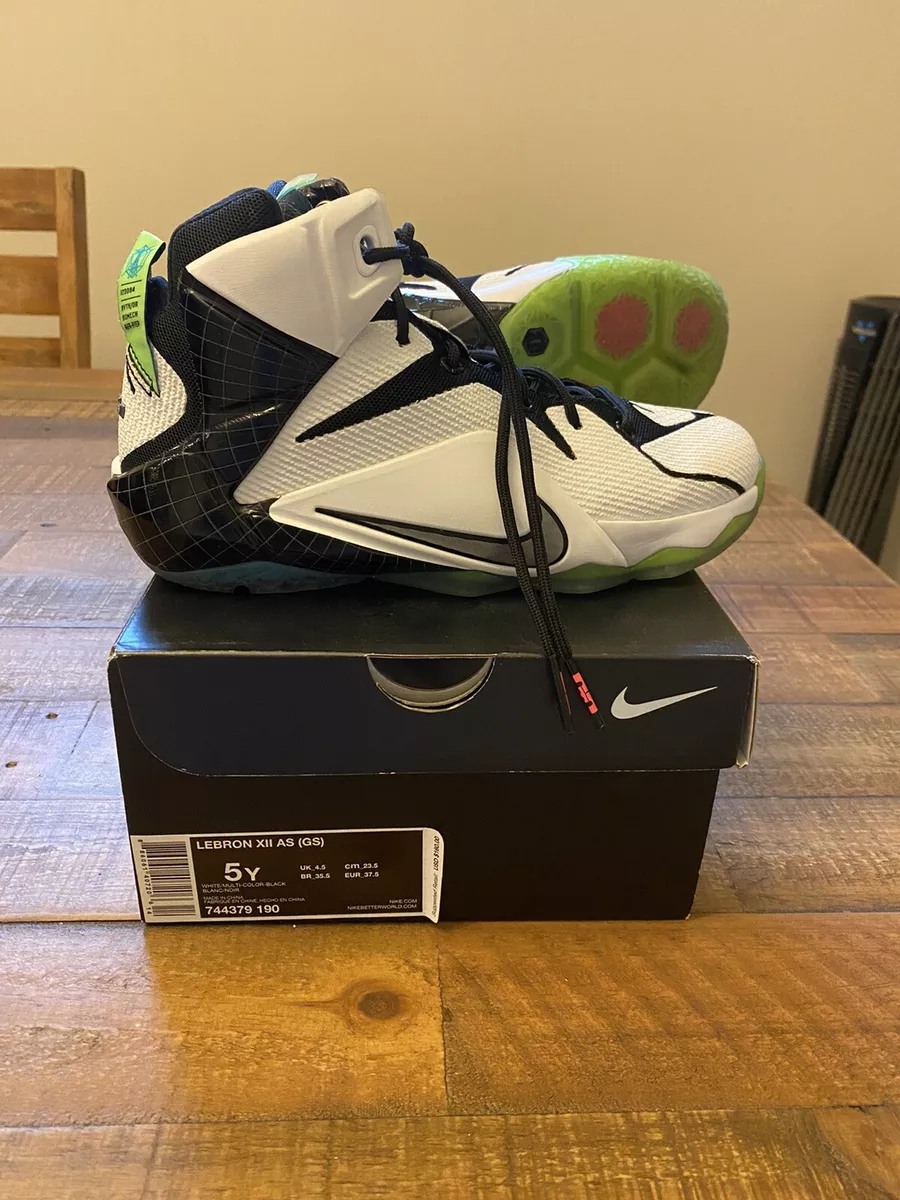 Lebron 12 hotsell all stars