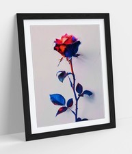 BEAUTIFUL BLUE AND RED OMBRE ROSE FRAMED WALL ART PICTURE POSTER PRINT