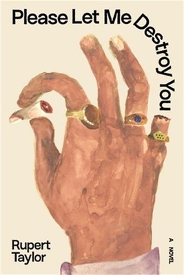 Please Let Me Destroy You (Paperback or Softback)