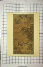 Original Old Antique Print Colour Flowers Nature Birds