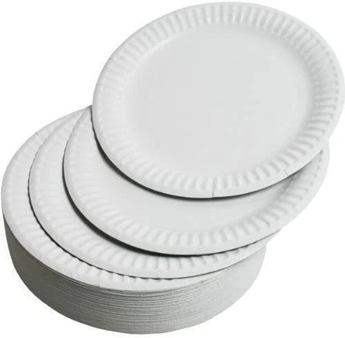 Formal on sale paper plates