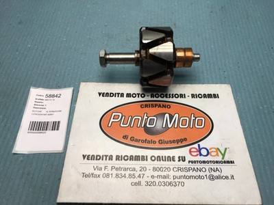 Lichtmaschinenrotor Paris Rhone 12V Citroen Fiat