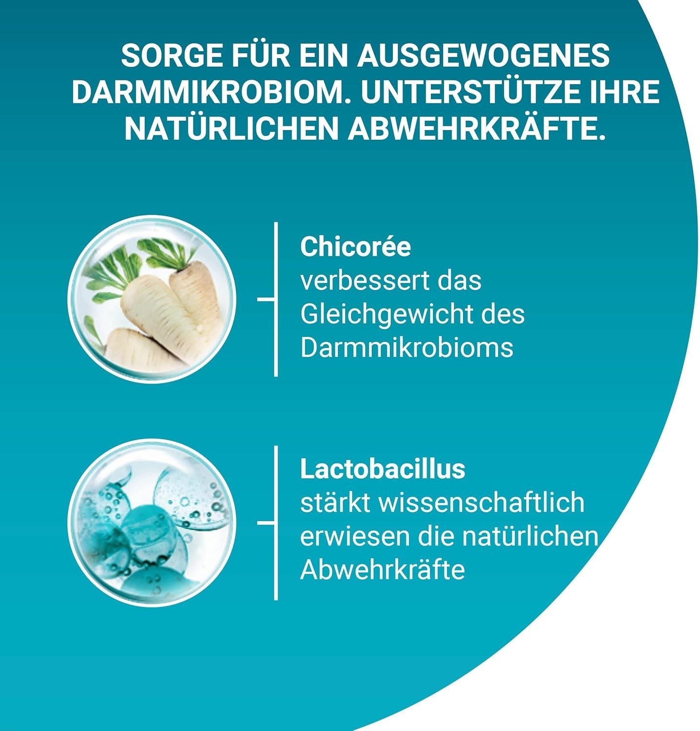 Bild 2 von 6
