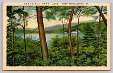 Vintage Fern Lake, Middlesboro KY Postcard – Art Tone Glo-Var Finish