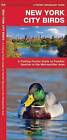 New York City Birds: A Folding Pocket Guide to Familiar Species in the Metropolitan Area by James Kavanagh (Pamphlet, 2001)