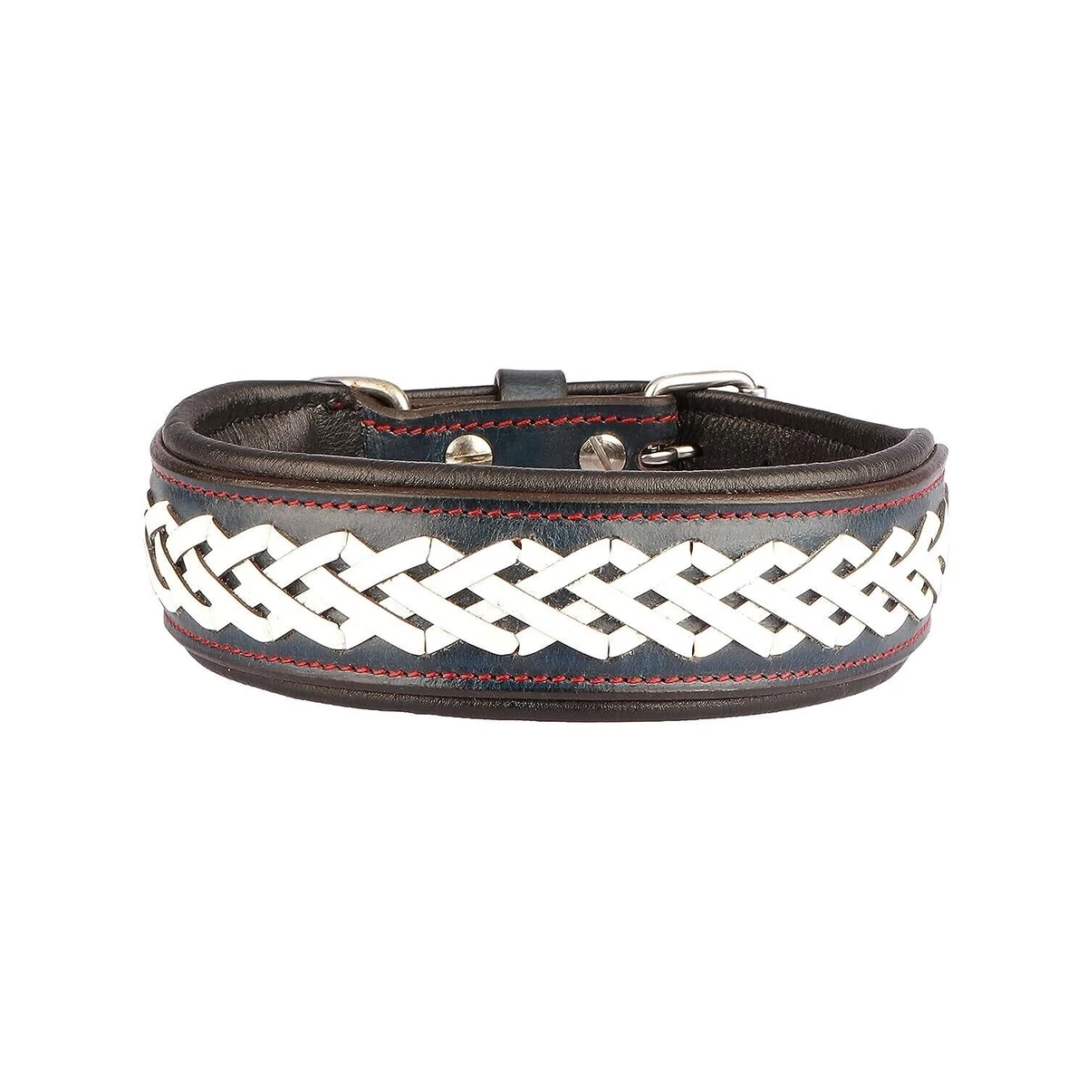 Design a top dog collar
