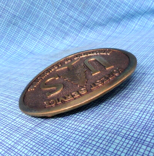 USDA Forest Service Gürtelschnalle 1985 # Bronze Vintage Western Heritage Co WY .QRT616 - Bild 10 von 12