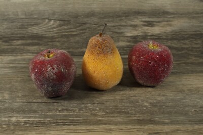 Vintage Sugar Frosted/Beaded Fruit Life Size Apples and Pear  Lot of 3 MCM