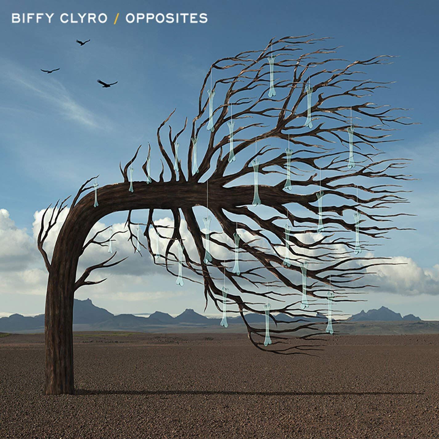 Biffy Clyro - Opposites (Warner Bros Records) CD Album
