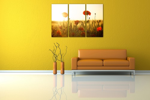 Wandbild Blumenbilder Blumenfotos Mohnblumen-Feld bei Sonnenaufgang - Bild 4 von 15