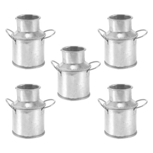 5 piezas jarra de leche cubo de lata batido pequeño mini cubos rústicos soporte para flores - Imagen 1 de 10