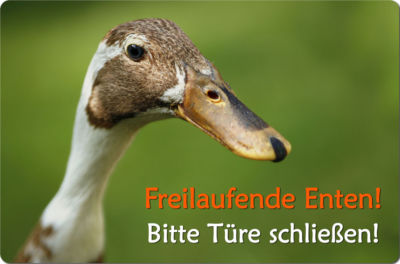 Indische LAUFENTE Ente - A4 Alu SCHILD Stallschild Boxenschild Tor - NTE 02 QF